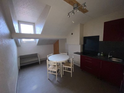 APPARTEMENT T2 - ST ETIENNE BELLEVUE - 32.26 m2 - LOUÉ