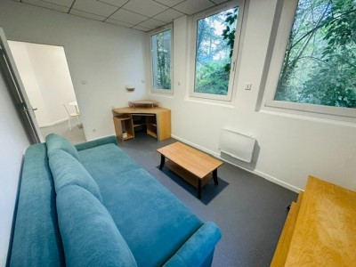 T2 Meublé A LOUER - ST ETIENNE BELLEVUE/SOLAURE/JOMAYERE - 46.7 m2 - 590 € charges comprises par mois