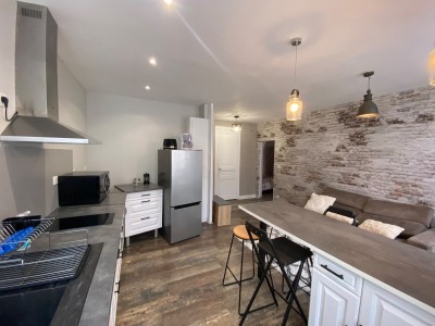APPARTEMENT T2 A LOUER - ST ETIENNE CARNOT/JEAN JAURES/JACQUARD - 46.41 m2 - 460 € charges comprises par mois