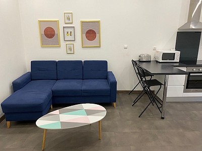 APPARTEMENT T2 - ST ETIENNE CARNOT - 35.13 m2 - LOUÉ