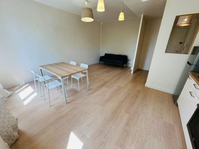 T2 Meublé A LOUER - ST ETIENNE CENTRE II  / TREFILERIE - 46.75 m2 - 515 &euro; charges comprises par mois