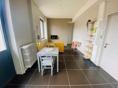 APPARTEMENT T2 - ST ETIENNE CENTRE - 36.83 m2 - LOUÉ