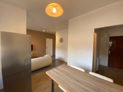 APPARTEMENT T2 A LOUER - ST ETIENNE CENTRE/TREFILERIE - 45.45 m2 - 625 € charges comprises par mois
