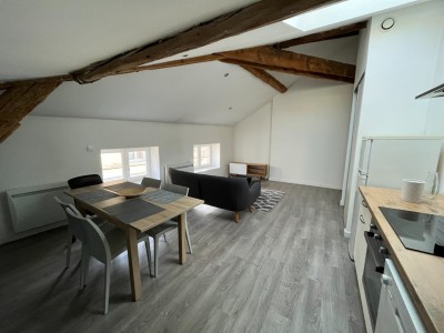 APPARTEMENT T2 - ST ETIENNE CENTRE VILLE - 52 m2 - LOUÉ
