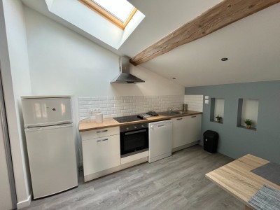 APPARTEMENT T2 - ST ETIENNE CENTRE VILLE - 52 m2 - LOUÉ