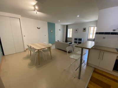 APPARTEMENT T2 - ST ETIENNE CENTRE VILLE - 60.8 m2 - LOUÉ