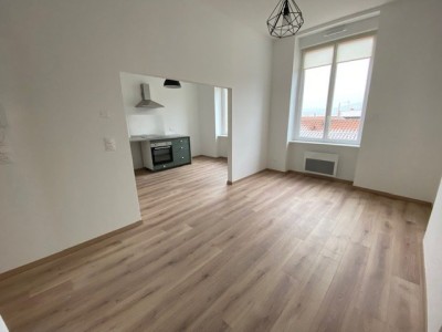 APPARTEMENT T2 - ST ETIENNE CENTRE VILLE - 54.13 m2 - LOUÉ
