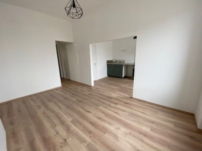 APPARTEMENT T2 - ST ETIENNE CENTRE VILLE - 54.13 m2 - LOUÉ