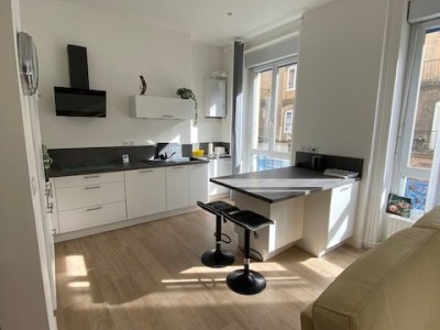 APPARTEMENT T2 A LOUER - ST ETIENNE CHAVANELLE/MARTYR DE VINGRE - 55.35 m2 - 655�&euro; charges comprises par mois