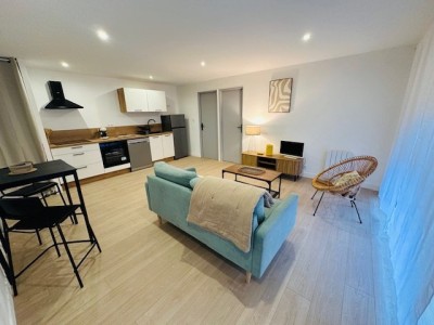 APPARTEMENT T2 A LOUER - ST ETIENNE DORIAN - 46 m2 - 510€ charges comprises par mois