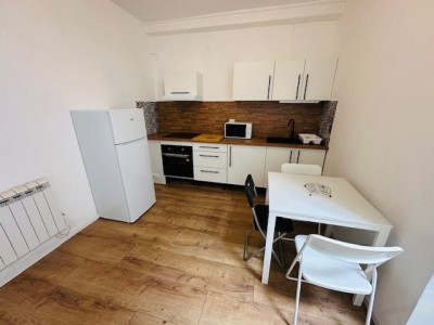 T2 MEUBLE A LOUER - ST ETIENNE FAC TREFILERIE - 33.59 m2 - 395�&euro; charges comprises par mois