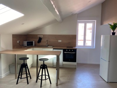 APPARTEMENT T2 A LOUER - ST ETIENNE FACULTE   CENTRE DEUX - 62.45 m2 - 550 &euro; charges comprises par mois