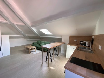 APPARTEMENT T2 A LOUER - ST ETIENNE FACULTE   CENTRE DEUX - 62.45 m2 - 550 &euro; charges comprises par mois