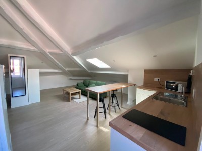 APPARTEMENT T2 A LOUER - ST ETIENNE FACULTE   CENTRE DEUX - 62.45 m2 - 550 &euro; charges comprises par mois