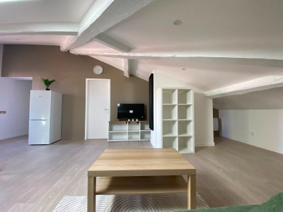 APPARTEMENT T2 A LOUER - ST ETIENNE FACULTE   CENTRE DEUX - 62.45 m2 - 550 &euro; charges comprises par mois