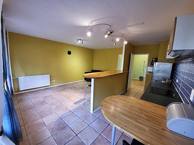 APPARTEMENT T2 - ST ETIENNE FACULTE   CENTRE DEUX - 52.28 m2 - LOUÉ