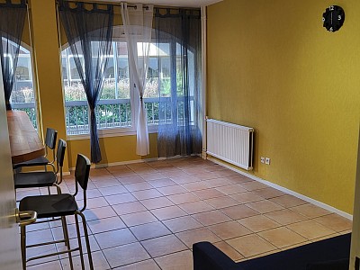 APPARTEMENT T2 - ST ETIENNE FACULTE   CENTRE DEUX - 52.28 m2 - LOUÉ