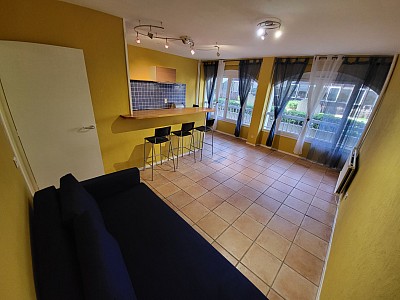 APPARTEMENT T2 - ST ETIENNE FACULTE   CENTRE DEUX - 52.28 m2 - LOUÉ