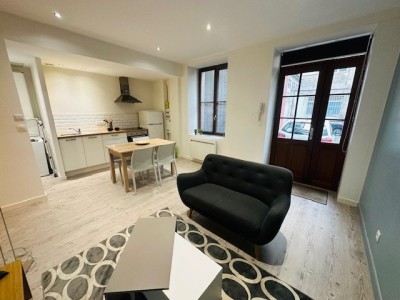 APPARTEMENT T2 A LOUER - ST ETIENNE HOTEL DE VILLE/HYPER CENTRE - 35.39 m2 - 450€ charges comprises par mois