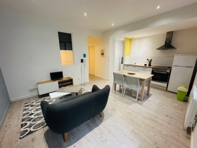 APPARTEMENT T2 A LOUER - ST ETIENNE HOTEL DE VILLE/HYPER CENTRE - 35.39 m2 - 450€ charges comprises par mois