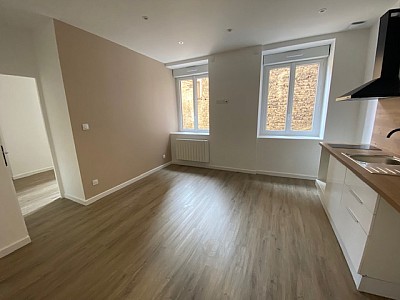 APPARTEMENT T2 A LOUER - ST ETIENNE HOTEL DE VILLE - 30.3 m2 - 465€ charges comprises par mois