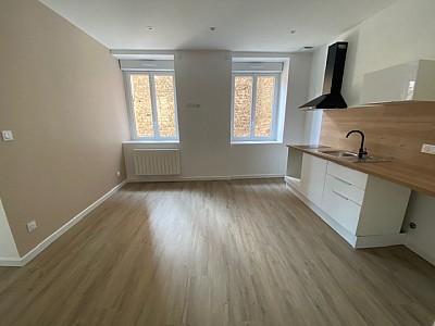 APPARTEMENT T2 A LOUER - ST ETIENNE HOTEL DE VILLE - 30.3 m2 - 465€ charges comprises par mois