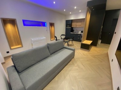 APPARTEMENT T2 - ST ETIENNE JACQUARD - 41.16 m2 - LOUÉ