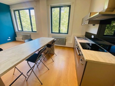 APPARTEMENT T2 - ST ETIENNE LIBERATION/FAURIEL - 48.28 m2 - LOUÉ