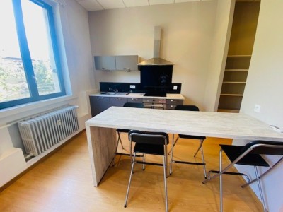 APPARTEMENT T2 - ST ETIENNE LIBERATION/FAURIEL - 48.28 m2 - LOUÉ