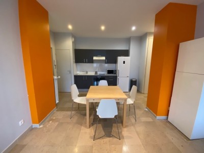 T2 Meublé A LOUER - ST ETIENNE LYCEE FAURIEL - 47.8 m2 - 640 &euro; charges comprises par mois