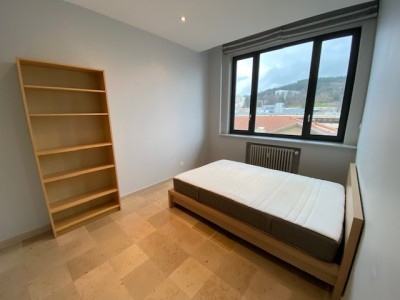 T2 Meublé A LOUER - ST ETIENNE LYCEE FAURIEL - 47.8 m2 - 640 &euro; charges comprises par mois
