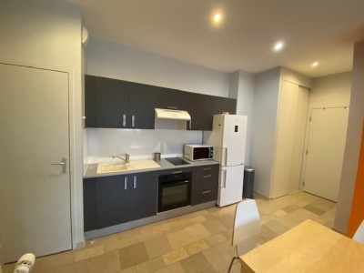 T2 Meublé A LOUER - ST ETIENNE LYCEE FAURIEL - 47.8 m2 - 640 &euro; charges comprises par mois