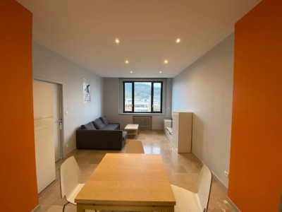 T2 Meublé A LOUER - ST ETIENNE LYCEE FAURIEL - 47.8 m2 - 640 &euro; charges comprises par mois