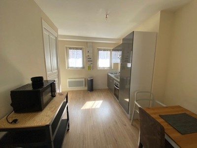2 pièces Meublé A LOUER - ST ETIENNE PLACE GRENETTE/PEUPLE - 33.28 m2 - 420 € charges comprises par mois