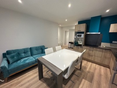 APPARTEMENT T2 - ST ETIENNE QUARTIER ZENITH - 37.34 m2 - LOUÉ