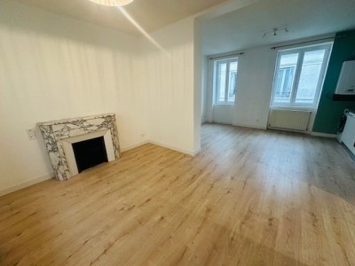 APPARTEMENT T2 A LOUER - ST ETIENNE RICHELANDIERE/CHATEAUCREUX - 47.44 m2 - 525€ charges comprises par mois