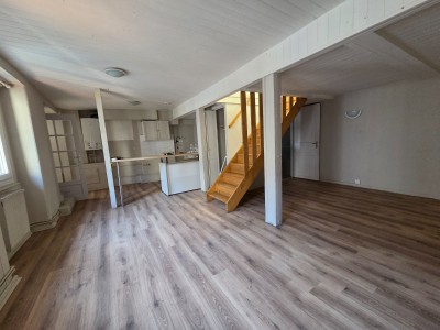 APPARTEMENT T2 A VENDRE - ST ETIENNE CENTRE VILLE - 50.6 m2 - 49 000 &euro;