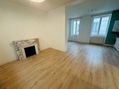 APPARTEMENT T2 A VENDRE - ST ETIENNE CHATEAUCREUX - 47.44 m2 - 85�000�&euro;