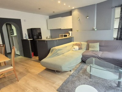 APPARTEMENT T2 A VENDRE - ST ETIENNE CHAVANELLE - 43 m2 - 55000€