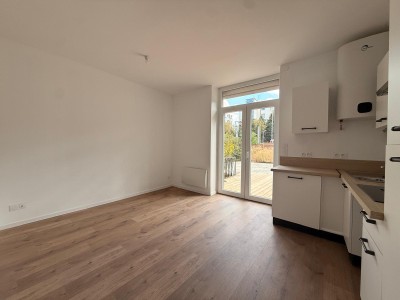 APPARTEMENT T2 A VENDRE - ST ETIENNE FAURIEL - 52.85 m2 - 86 000 €