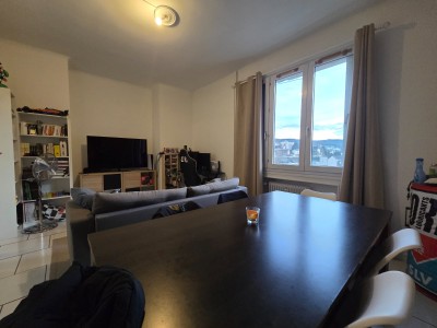 APPARTEMENT T2 A VENDRE - ST ETIENNE MONTPLAISIR - 55.46 m2 - 66 000 €