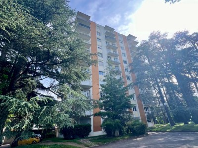 F2 Proximit Cours Fauriel - ST ETIENNE Proximit Cours Fauriel - 46.42 m2 - 75000€