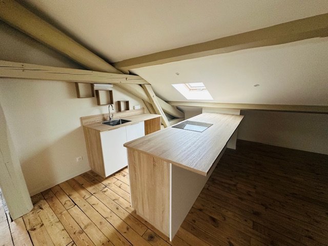 APPARTEMENT T3 - CENTRE DE ROCHE LA MOLIERE - 104.4 m2 - LOU&Eacute;