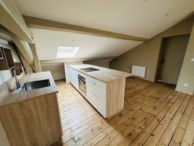 APPARTEMENT T3 - CENTRE DE ROCHE LA MOLIERE - 104.4 m2 - LOU&Eacute;