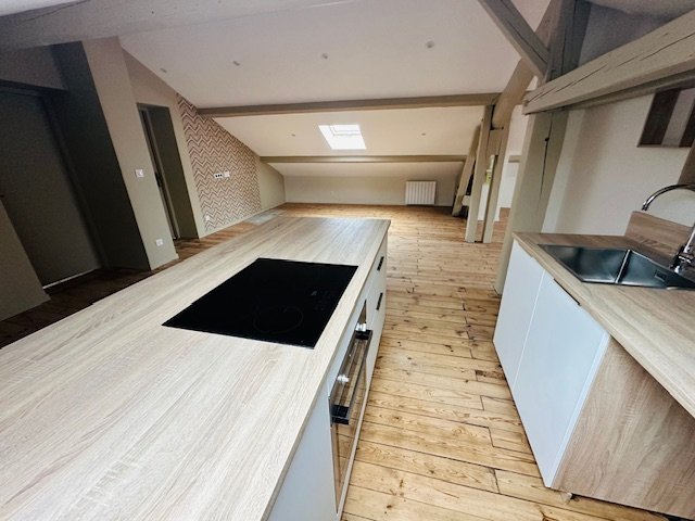 APPARTEMENT T3 - CENTRE DE ROCHE LA MOLIERE - 104.4 m2 - LOU&Eacute;