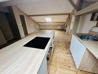 APPARTEMENT T3 A LOUER - CENTRE DE ROCHE LA MOLIERE - 53.87 m2 - 750€ charges comprises par mois