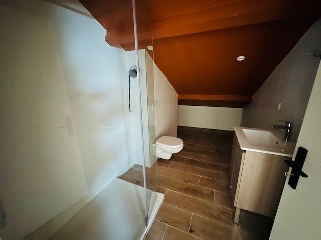 APPARTEMENT T3 - CENTRE DE ROCHE LA MOLIERE - 104.4 m2 - LOU&Eacute;