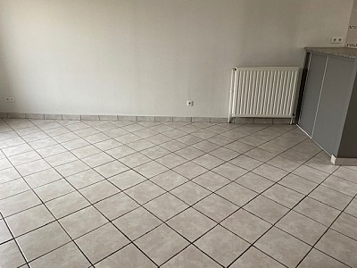 APPARTEMENT T3 - ROCHE LA MOLIERE - 59.15 m2 - LOUÉ