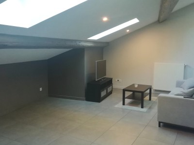 APPARTEMENT T3 A LOUER - ST ETIENNE BADOUILLERE/CENTRE VILLE - 61.53 m2 - 730 € charges comprises par mois