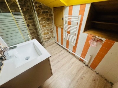 3 pièces en Duplex A LOUER - ST ETIENNE BAS FAURIEL/CHAVANELLE - 54.18 m2 - 590 € charges comprises par mois